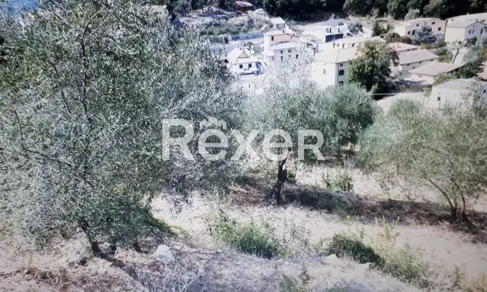 Rexer-Ausonia-Casale-rurale-da-ristrutturare-con-uliveto-Ausonia-FR-Altro