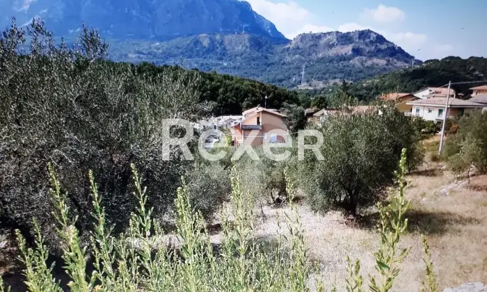 Rexer-Ausonia-Casale-rurale-da-ristrutturare-con-uliveto-Ausonia-FR-Altro