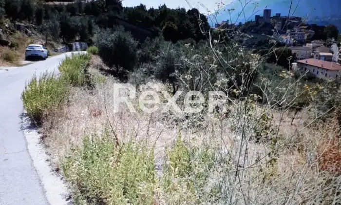 Rexer-Ausonia-Casale-rurale-da-ristrutturare-con-uliveto-Ausonia-FR-Altro