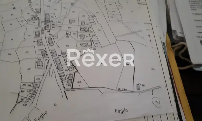 Rexer-Ausonia-Casale-rurale-da-ristrutturare-con-uliveto-Ausonia-FR-Altro