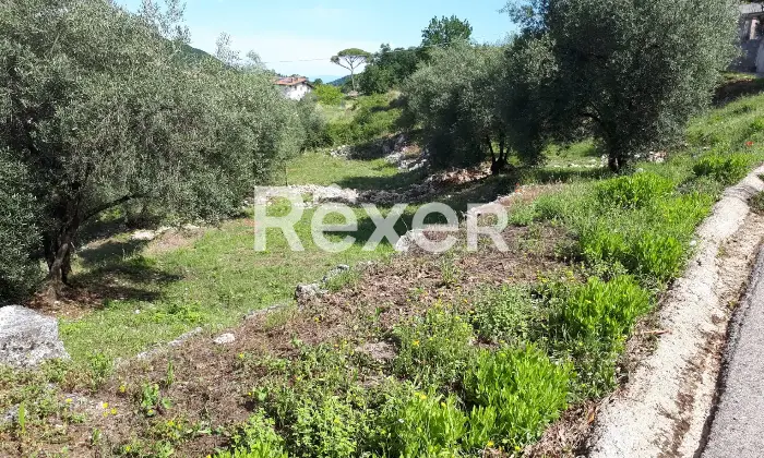 Rexer-Ausonia-Casale-rurale-da-ristrutturare-con-uliveto-Ausonia-FR-Altro