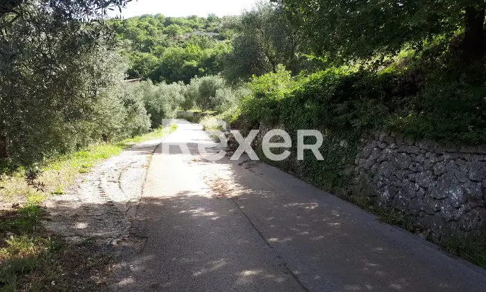 Rexer-Ausonia-Casale-rurale-da-ristrutturare-con-uliveto-Ausonia-FR-Altro