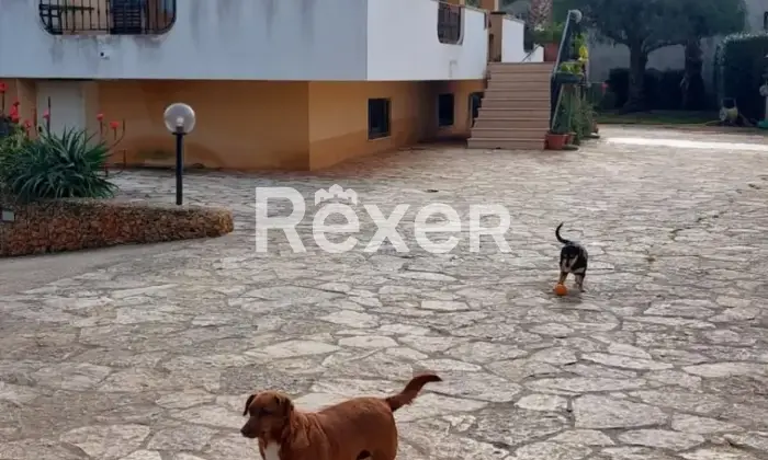 Rexer-Marsala-Villa-in-vendita-in-Contrada-San-Giuseppe-Tafalia-a-Marsala-Altro