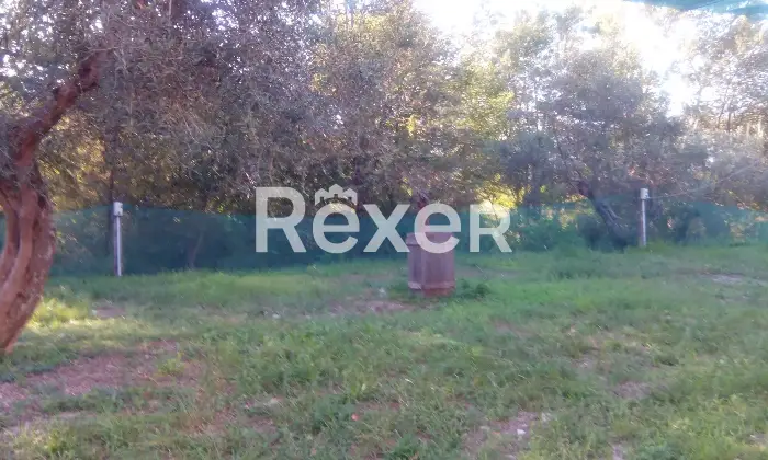 Rexer-Felitto-Agriturismo-con-ristorante-alloggi-azienda-agricola-e-agricampeggio-Felitto-SA-Altro