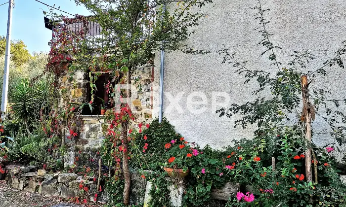 Rexer-Felitto-Agriturismo-con-ristorante-alloggi-azienda-agricola-e-agricampeggio-Felitto-SA-Altro