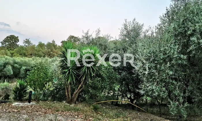 Rexer-Felitto-Agriturismo-con-ristorante-alloggi-azienda-agricola-e-agricampeggio-Felitto-SA-Altro