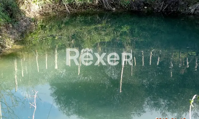 Rexer-Felitto-Agriturismo-con-ristorante-alloggi-azienda-agricola-e-agricampeggio-Felitto-SA-Altro