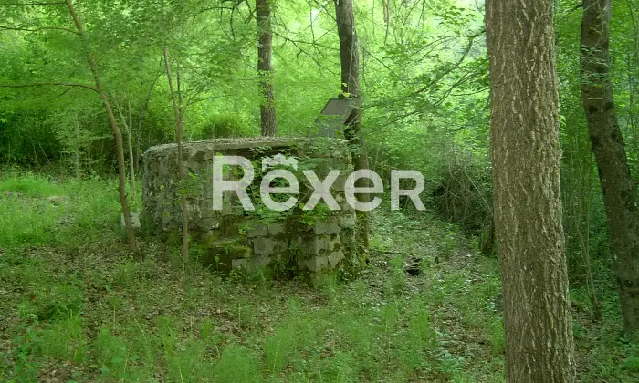 Rexer-Felitto-Agriturismo-con-ristorante-alloggi-azienda-agricola-e-agricampeggio-Felitto-SA-Altro