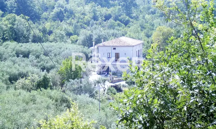 Rexer-Felitto-Agriturismo-con-ristorante-alloggi-azienda-agricola-e-agricampeggio-Felitto-SA-Altro