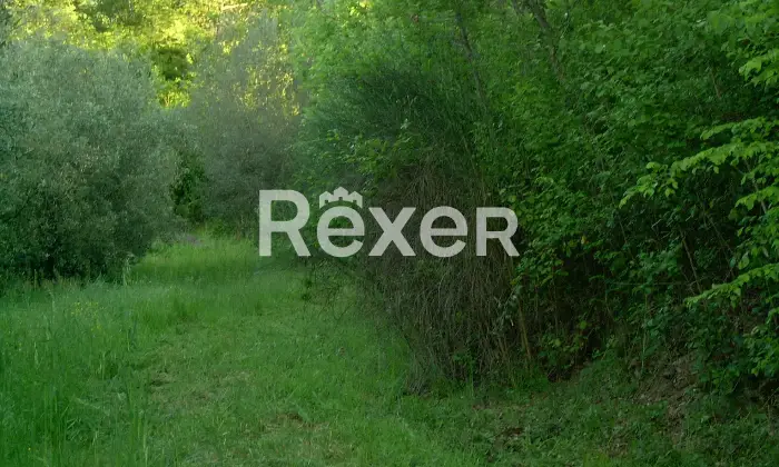 Rexer-Felitto-Agriturismo-con-ristorante-alloggi-azienda-agricola-e-agricampeggio-Felitto-SA-Altro