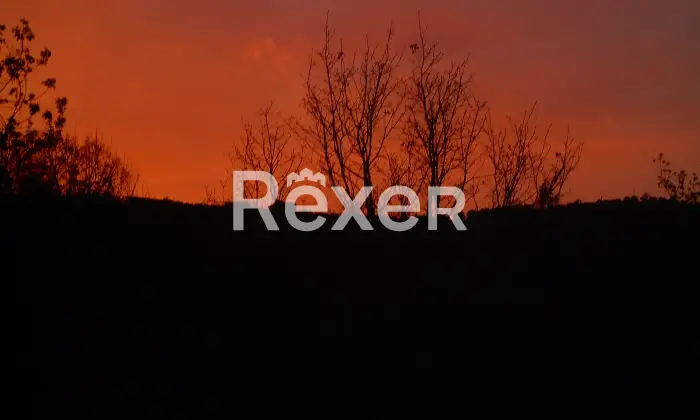 Rexer-Felitto-Agriturismo-con-ristorante-alloggi-azienda-agricola-e-agricampeggio-Felitto-SA-Altro