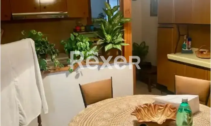 Rexer-San-Benedetto-dei-Marsi-Casa-indipendente-in-vendita-in-Via-Pace-a-San-Benedetto-dei-Marsi-Altro