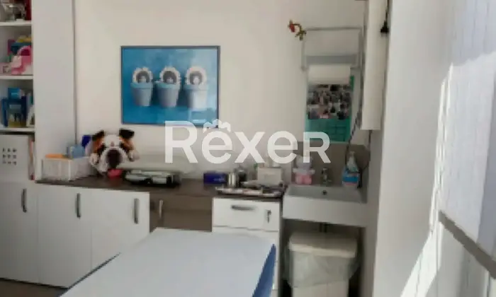 Rexer-Grosseto-Filiale-Bancaria-in-vendita-a-Grosseto-Altro