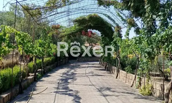 Rexer-Leonforte-Villa-in-vendita-in-Contrada-San-Giovanni-Leonforte-Altro