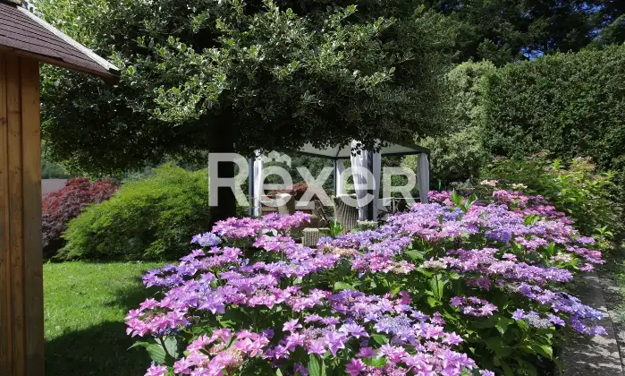 Rexer-Santa-Maria-del-Taro-Villa-storica-in-vendita-in-Via-de-Terry-a-Santa-Maria-del-Taro-Altro