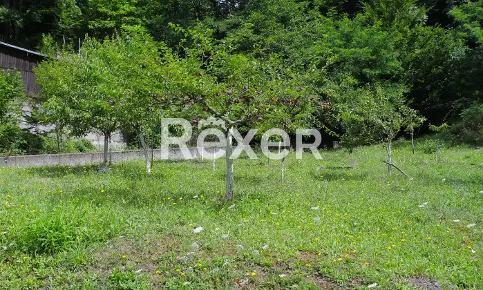 Rexer-Tornolo-Villa-storica-in-Fraz-Santa-Maria-del-Taro-Altro