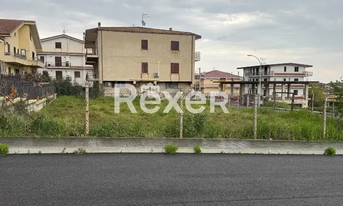 Rexer-Lauropoli-Terreno-edificabile-di-mq-pianeggiante-con-accesso-diretto-da-strada-ideale-per-villa-singola-Altro