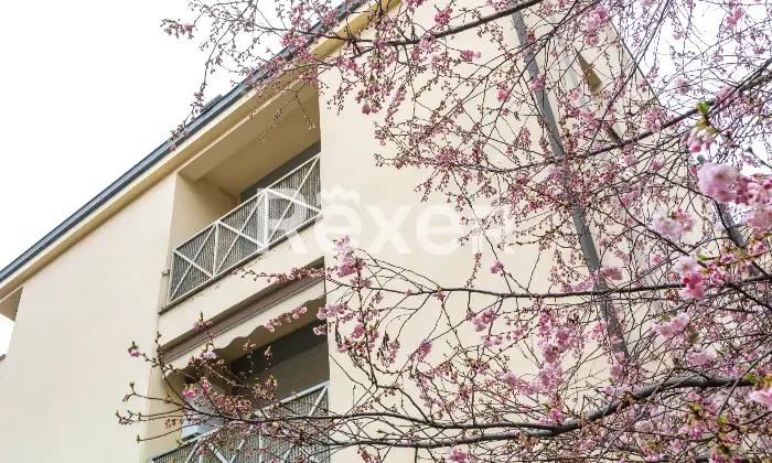 Rexer-Milano-Appartamento-bilocale-con-box-Altro