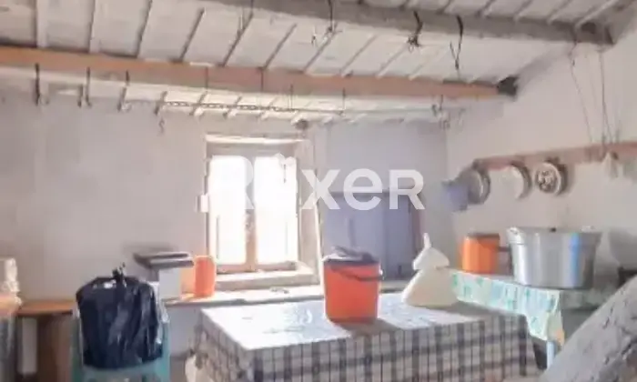 Rexer-Penne-Azienda-Agricola-in-vendita-in-Contrada-Villa-Degna-a-Penne-Altro