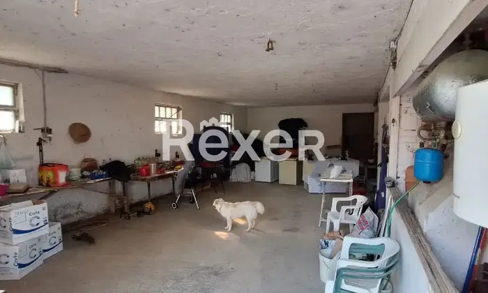 Rexer-Penne-Azienda-Agricola-in-vendita-in-Contrada-Villa-Degna-a-Penne-Altro