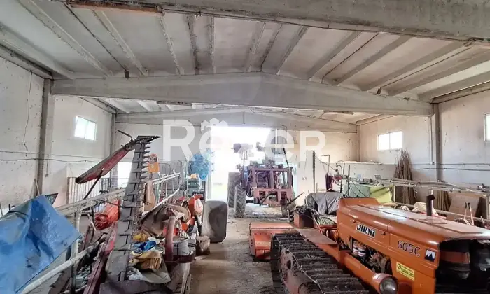 Rexer-Penne-Azienda-Agricola-in-vendita-in-Contrada-Villa-Degna-a-Penne-Altro