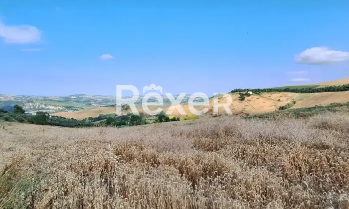 Rexer-Penne-Casalecascina-in-vendita-Altro