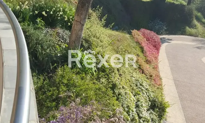 Rexer-Torrebelvicino-Villa-singola-in-vendita-in-Via-C-Battisti-a-Torrebelvicino-Altro