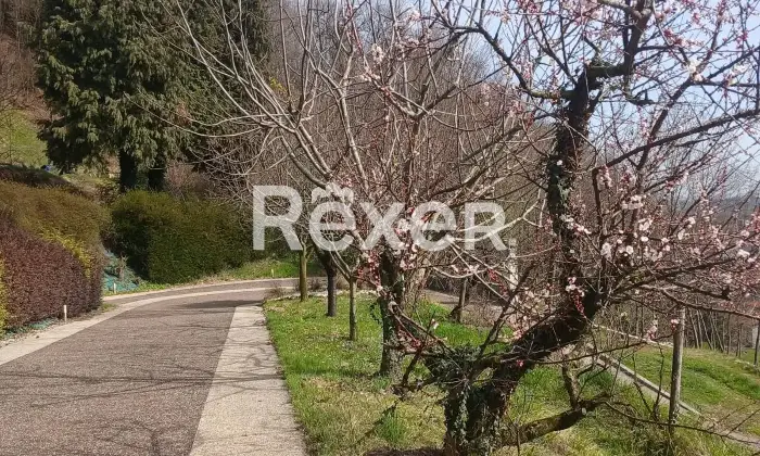 Rexer-Torrebelvicino-Villa-singola-in-vendita-in-Via-C-Battisti-a-Torrebelvicino-Altro