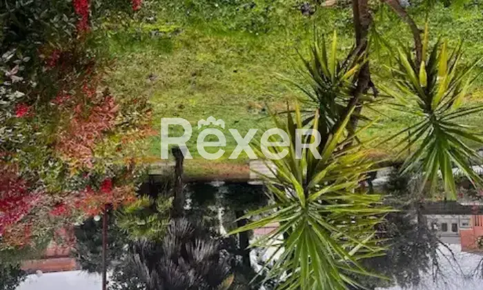 Rexer-Berra-Compendio-immobiliare-in-vendita-in-via-Piave-a-Berra-Altro