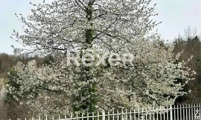 Rexer-Millesimo-VILLA-indipendente-in-vendita-in-Localit-Renaldo-a-Millesimo-SV-Giardino