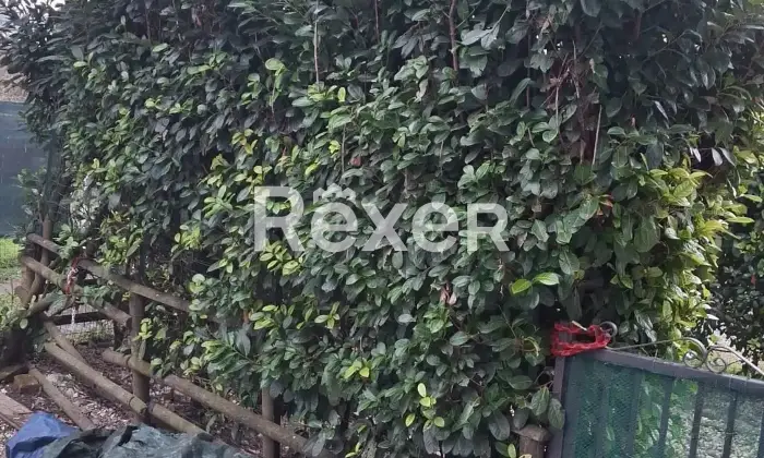 Rexer-Aulla-Casa-indipendente-su-unico-livello-con-giardino-e-posti-auto-Aulla-MS-Altro