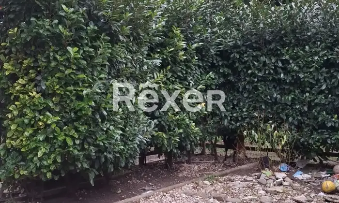 Rexer-Aulla-Casa-indipendente-su-unico-livello-con-giardino-e-posti-auto-Aulla-MS-Altro