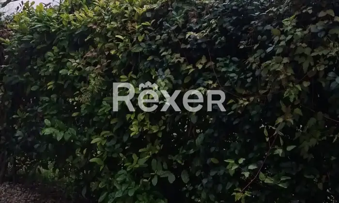 Rexer-Aulla-Casa-indipendente-su-unico-livello-con-giardino-e-posti-auto-Aulla-MS-Altro