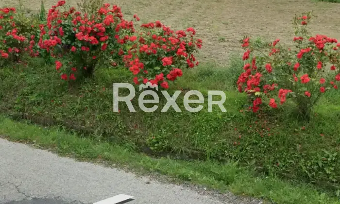 Rexer-Arsita-Casale-cascina-in-Frazione-Colle-Mesole-Arsita-TE-Terreno