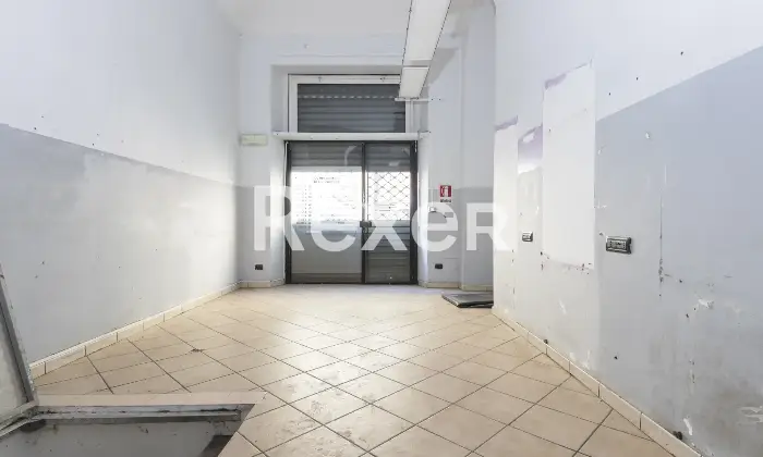 Rexer-Torino-Negozio-Altro