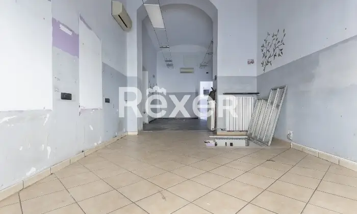 Rexer-Torino-Negozio-Altro