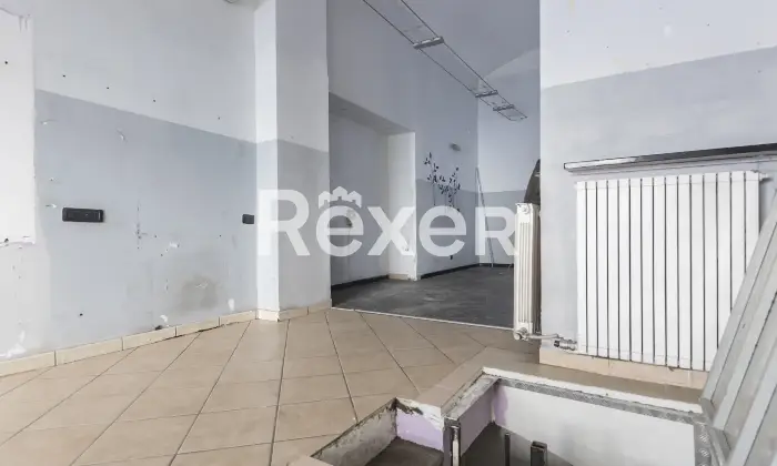 Rexer-Torino-Negozio-Altro