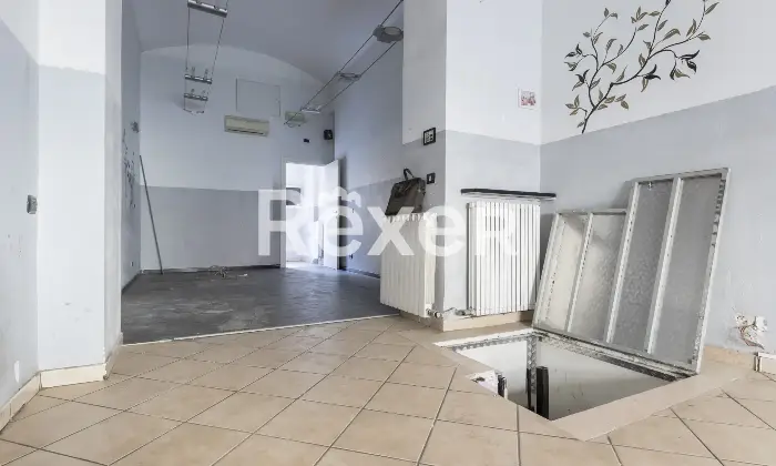 Rexer-Torino-Negozio-Altro