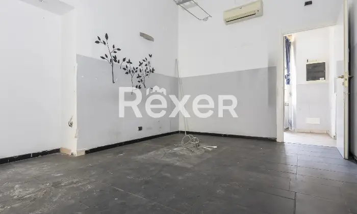 Rexer-Torino-Negozio-Altro