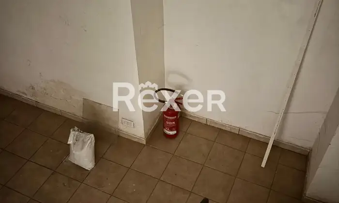 Rexer-Torino-Negozio-Altro