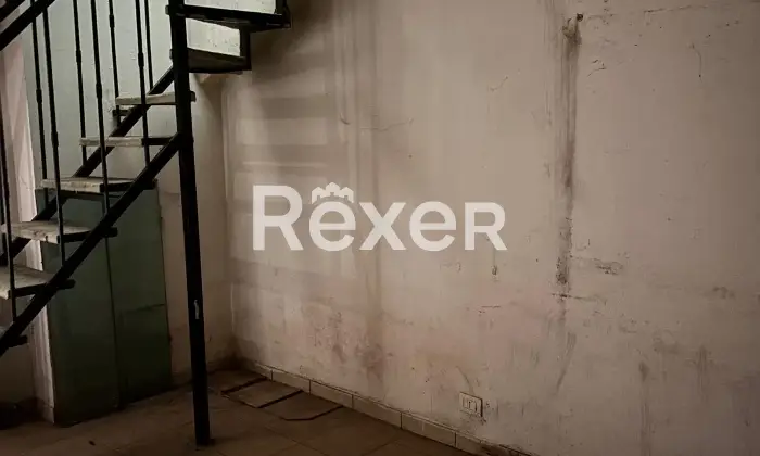 Rexer-Torino-Negozio-Altro
