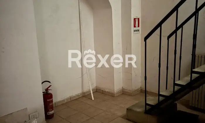 Rexer-Torino-Negozio-Altro