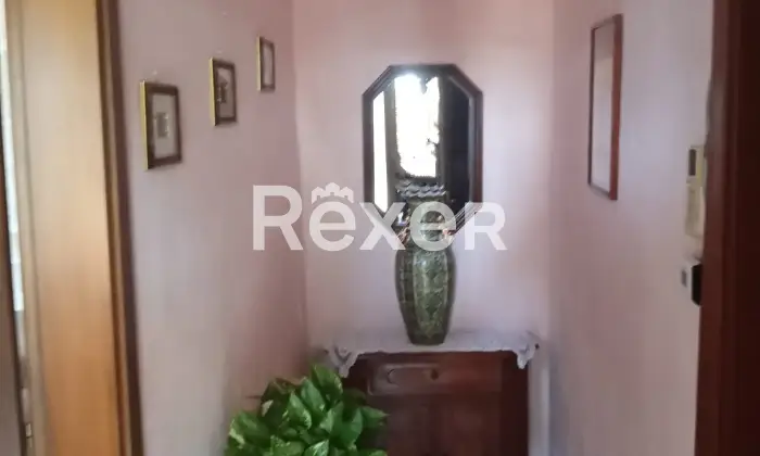 Rexer-Anguillara-Veneta-Casa-indipendente-con-giardino-in-vendita-in-via-Roma-ad-Anguillara-Veneta-Altro