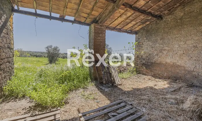 Rexer-Viterbo-Casolare-del-a-pochi-Km-dal-centro-di-Viterbo-con-ampio-terreno-di-propriet-Altro
