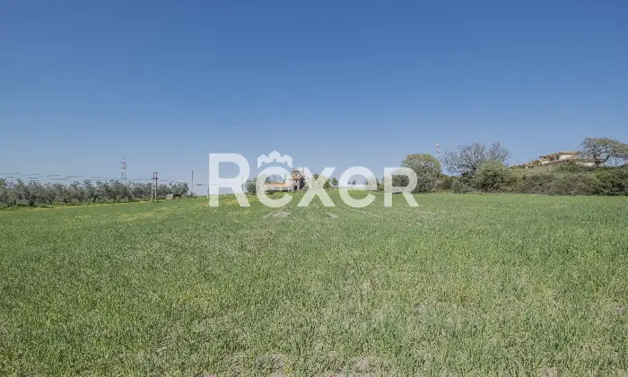 Rexer-Viterbo-Casolare-del-a-pochi-Km-dal-centro-di-Viterbo-con-ampio-terreno-di-propriet-Altro