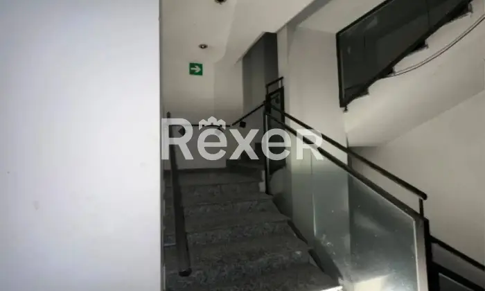 Rexer-Cologno-Monzese-Complesso-immobiliare-vicino-Fininvest-Altro
