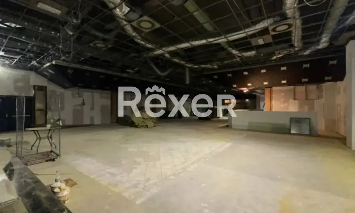 Rexer-Cologno-Monzese-Complesso-immobiliare-vicino-Fininvest-Altro