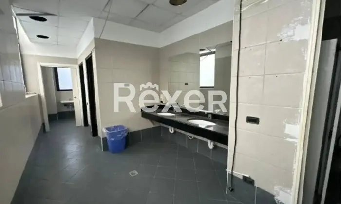 Rexer-Cologno-Monzese-Complesso-immobiliare-vicino-Fininvest-Altro