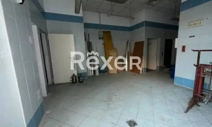 Rexer-Cologno-Monzese-Complesso-immobiliare-vicino-Fininvest-Altro