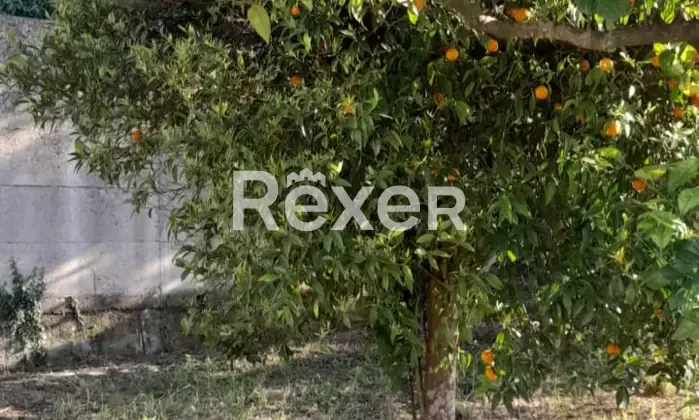 Rexer-Solopaca-Casa-indipendente-in-vendita-in-Via-S-Martino-a-Solopaca-Altro